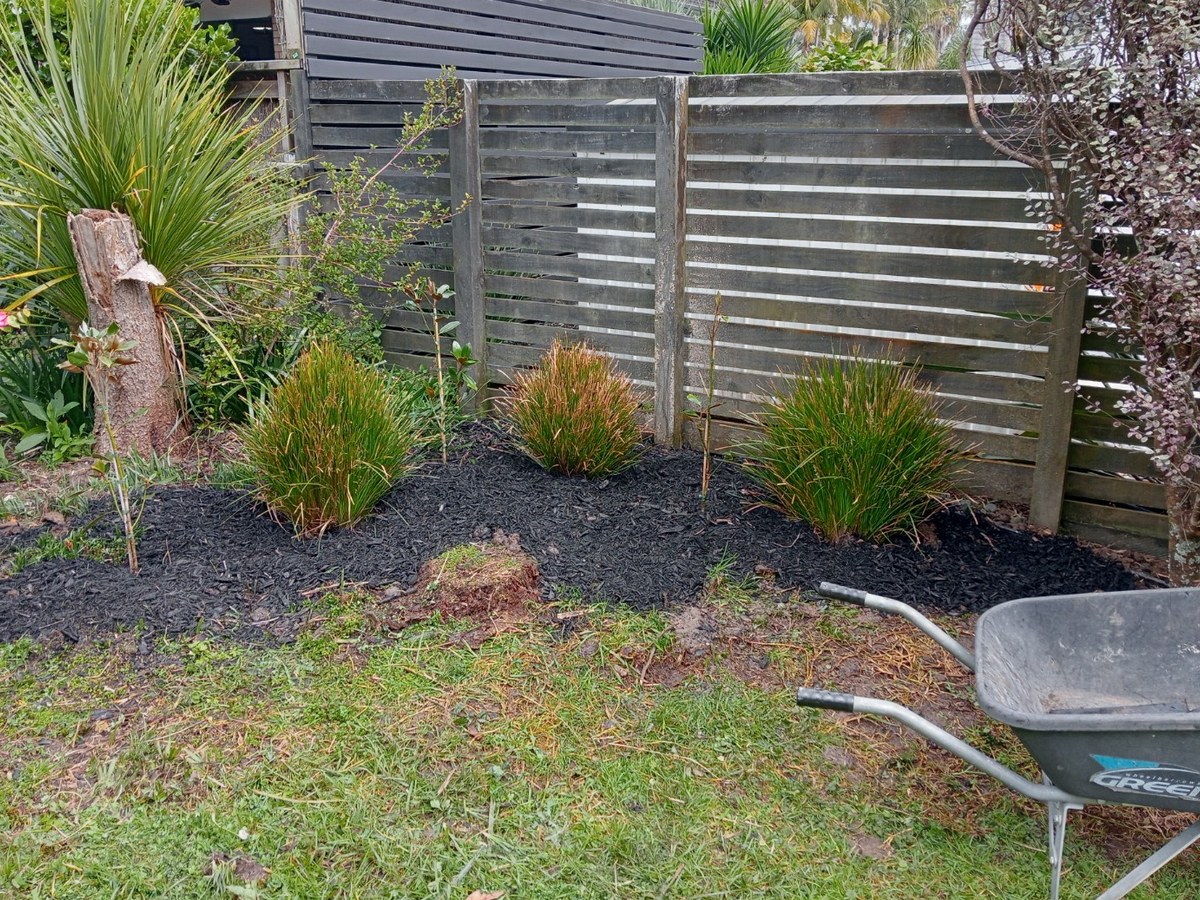 Garden bed after cleanup and fresh mulch
