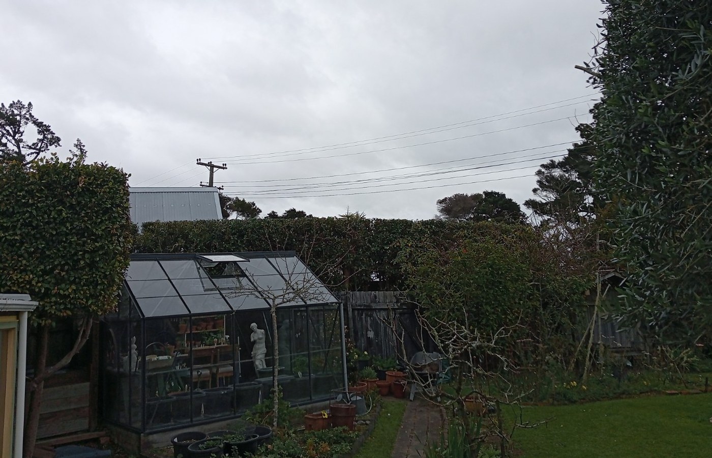 Residential garden with greenhouse, lawn and hedges on the North Shore